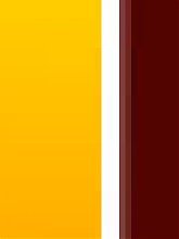 Mature babe Erica seduce her stud with her chubby pussy and gets plowed with a sex toy